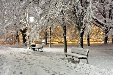 Geceleri taze karla kaplı park et..