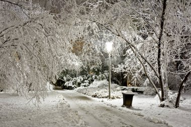 Geceleri taze karla kaplı park et..