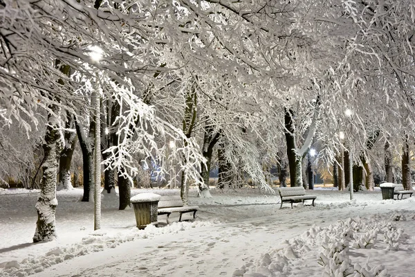 Park Nocy Pokryty Świeżym Śniegiem — Zdjęcie stockowe