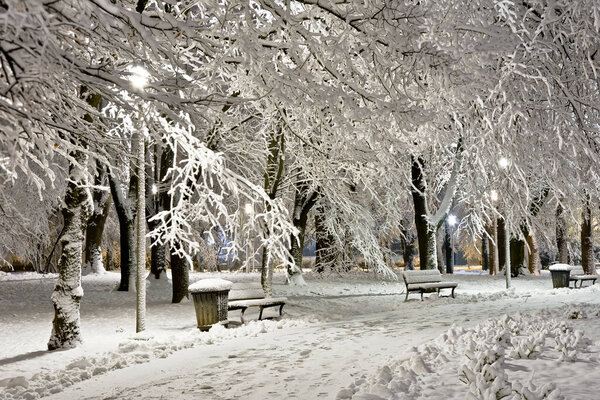 Park at night covered with fresh snow.