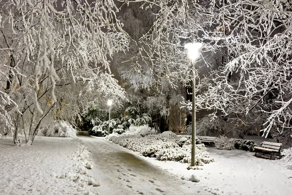 Geceleri Taze Karla Kaplı Park — Stok fotoğraf