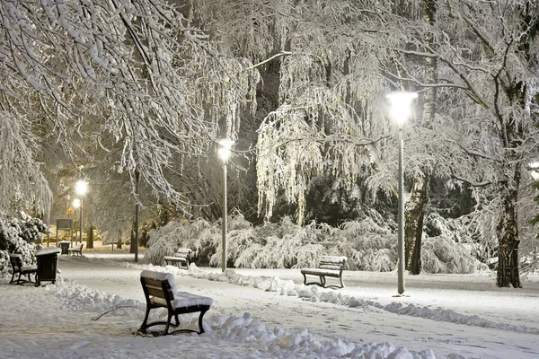 Park Nocy Pokryty Świeżym Śniegiem — Zdjęcie stockowe