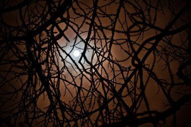 Karanlık dolunay ağaçların dallarında