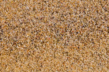 Islak plaj kum çok renkli arka plan dokusu