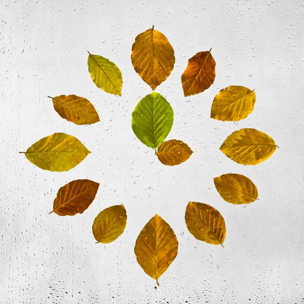 Clock stacked with colorful autumn beech leaves on the wet glass. Three o'clock. — Stock Photo, Image