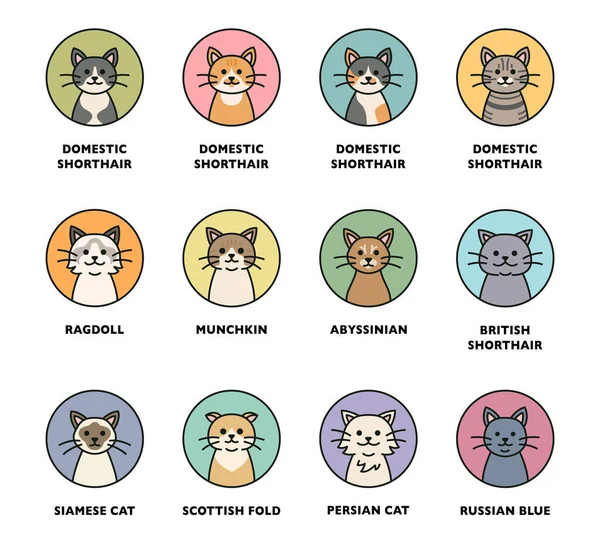 Leuke Kat Ras Pictogram Set Het Schattige Kattengezicht Zit Cirkel — Stockvector