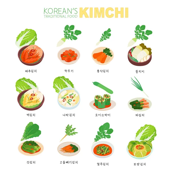Comida Tradicional Coreana Uma Coleção Vários Tipos Kimchi — Vetor de Stock