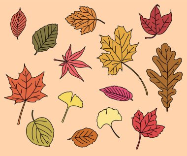 Dry autumn leaf pattern. flat design style minimal vector illustration.