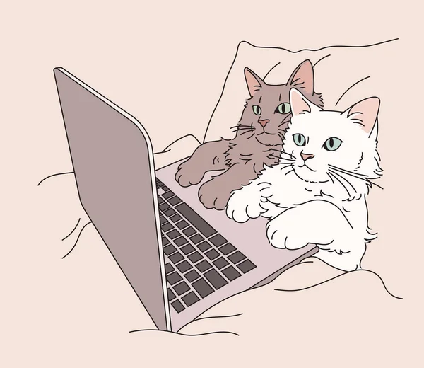 Kedi yatakta uzanıyor ve bilgisayara bakıyor. el çizimi biçim vektör tasarımı çizimleri.