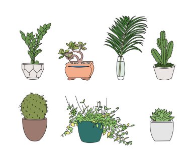 Different types of pots and different types of plants. Plant pots collection set. hand drawn style vector design illustrations.