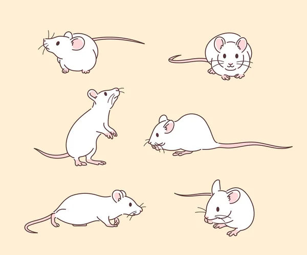 White Rat Character Various Poses Hand Drawn Style Vector Design — 图库矢量图片