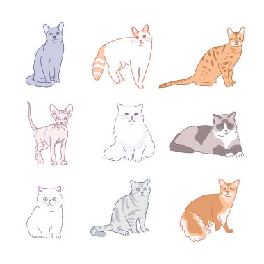 various cat breed collection
