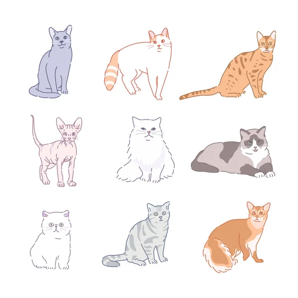 Various Cat Breed Collection — Stock Vector