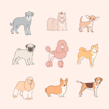 çeşitli köpek türleri. el çizimi biçim vektör tasarımı çizimleri.
