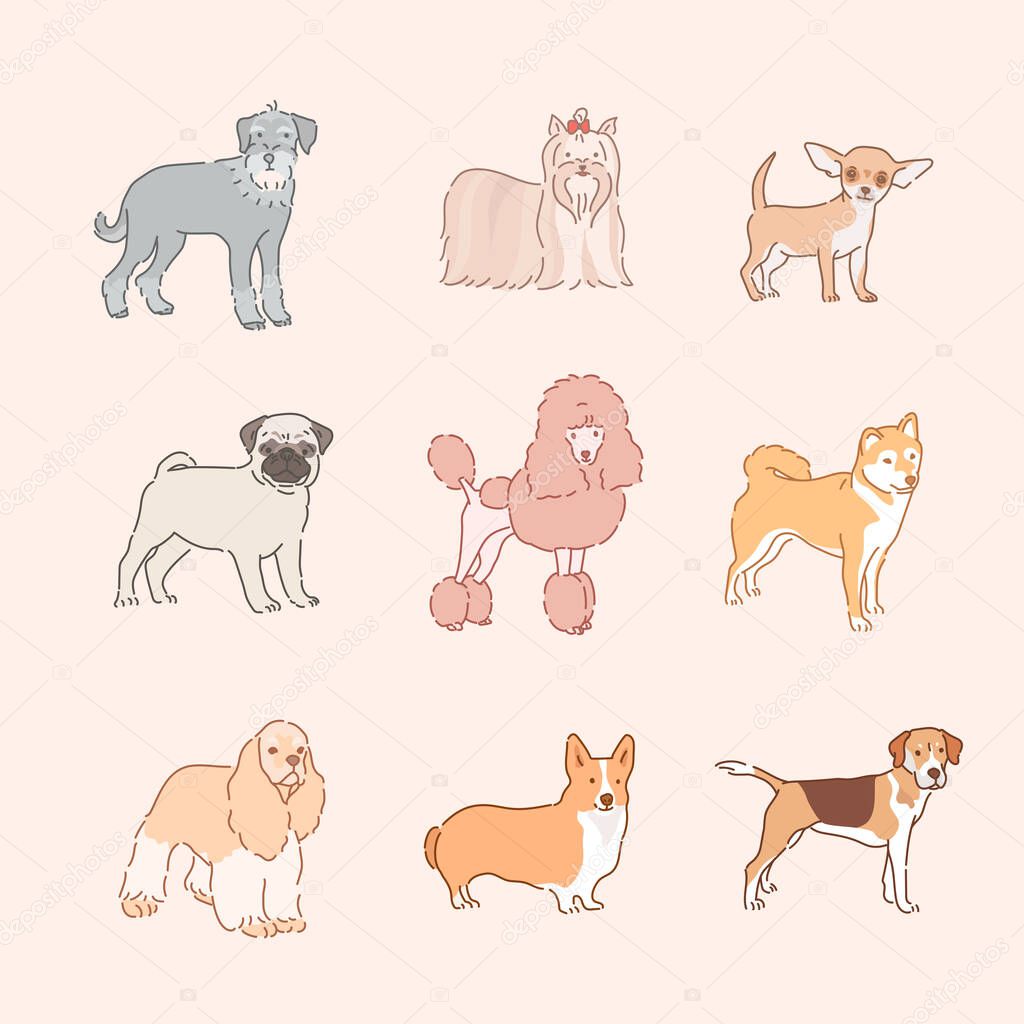 various dog breeds. hand drawn style vector design illustrations.