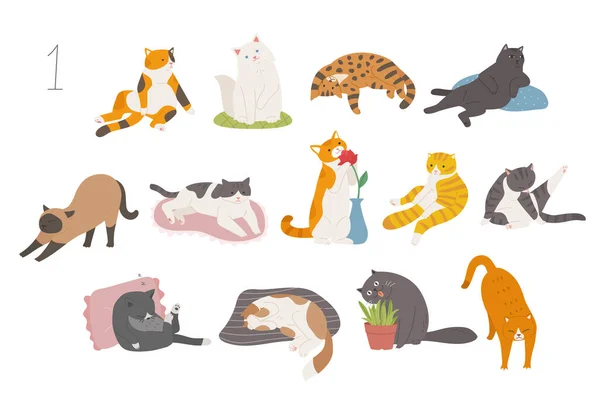 Cute Funny Cats Various Breeds Hand Drawn Style Vector Design - Stok Vektor