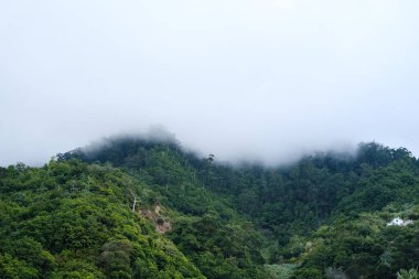 Bulutlu bir günde yoğun bulutlar bir kış günü boyunca dağı kaplıyor.