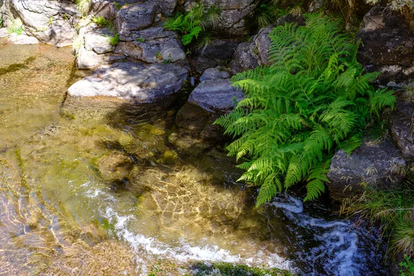 Manantial Agua Fresca Fría Las Montañas Junto Una Formación Rocosa — Foto de Stock