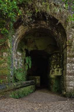 Yeşil eğrelti otuyla kaplı bir dağdaki karanlık bir tünelin girişi ve küçük bir Cristian sunağı olan yosun.