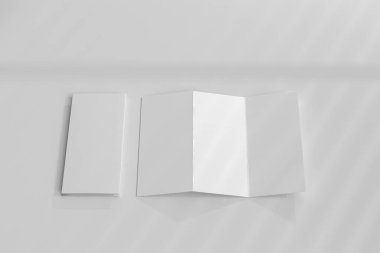 DL Boyutu Üç Katlı Borchure