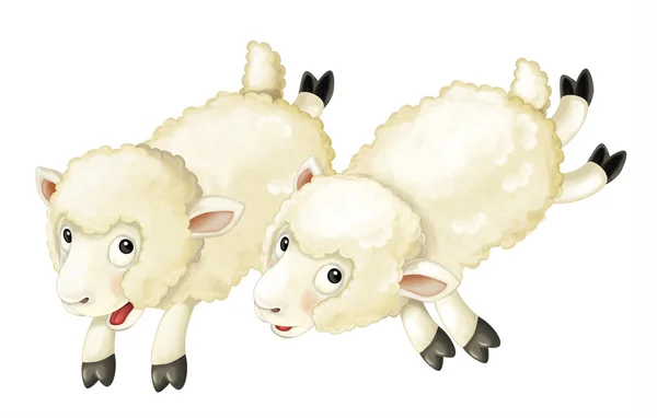 Kreskówka owiec - na białym tle — Zdjęcie stockowe