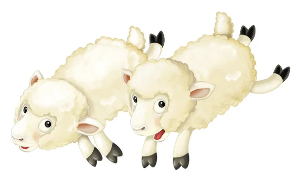 Kreskówka owiec - na białym tle — Zdjęcie stockowe