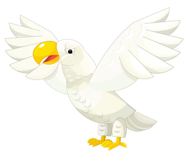 Cartoon happy eagle - isolated — Stock Photo, Image