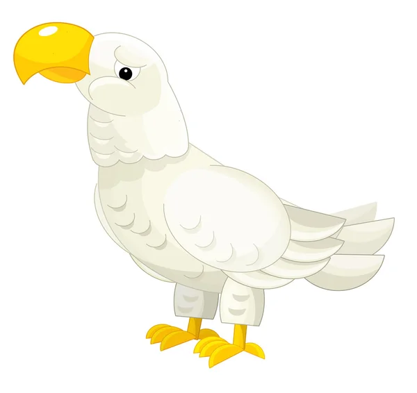 Cartoon gelukkig eagle - geïsoleerd — Stockfoto