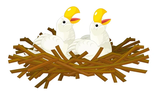 Kreskówka młody orły - na białym tle — Zdjęcie stockowe