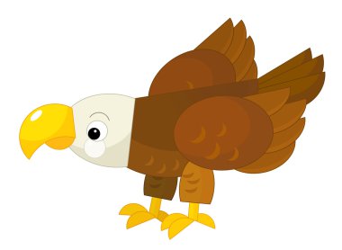 İzole karikatür kartal-