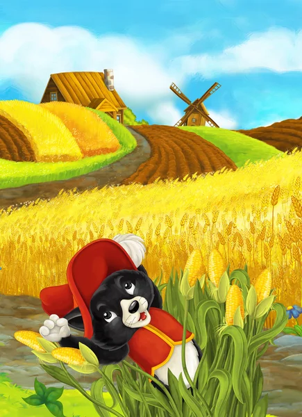 Красиво окрашенная сцена с персонажем мультфильма - кот-путешественник выпрыгивает из кукурузы - кукурузное поле на заднем плане — стоковое фото