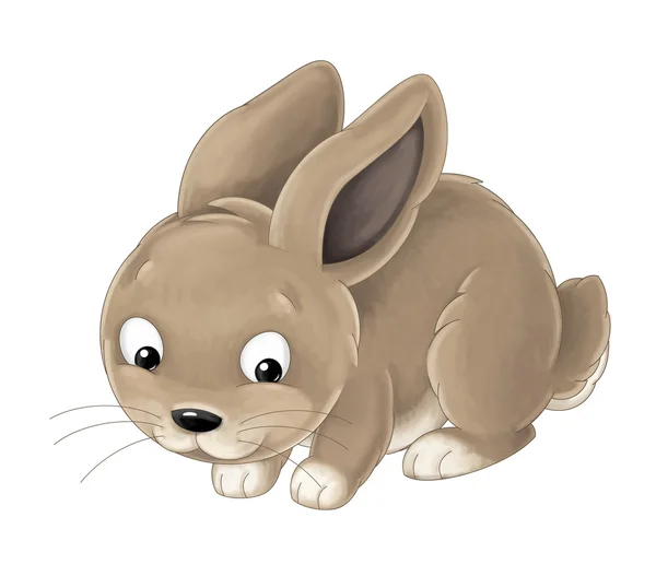 Conejo de dibujos animados - estilo pintado bueno para cuento de hadas - aislado - ilustración para niños — Foto de Stock