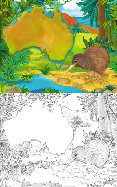 Scène Bande Dessinée Avec Croquis Oiseau Kiwi Avec Carte Continent — Photo