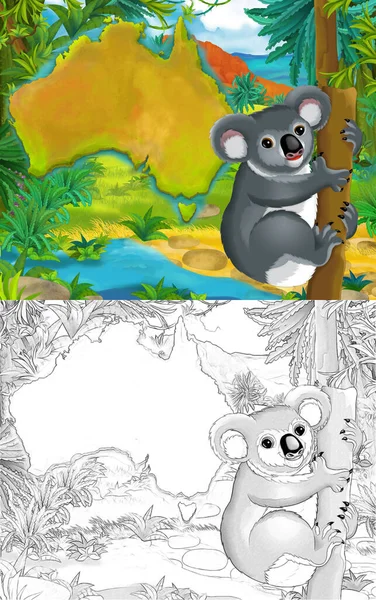 Tecknad Scen Med Skiss Koala Björn Med Kontinent Karta Illustration — Stockfoto