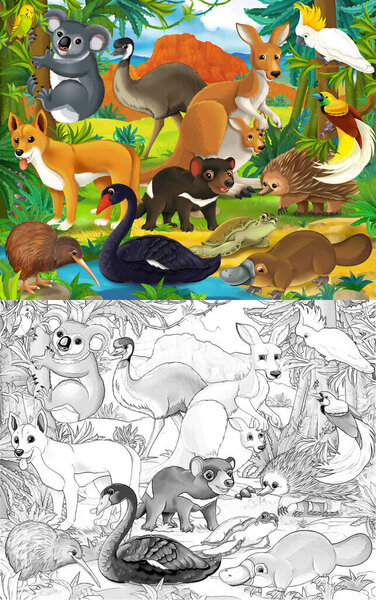 cartoon sketch scene with different australian animals like in zoo - illustration for children