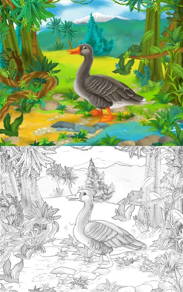 Cartoon sketch scene with sketch with goose bird - illustration for children