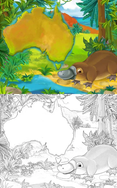 スケッチブック付きの漫画シーン大陸地図付きのDuckbill Platypus 子供のためのイラスト — ストック写真