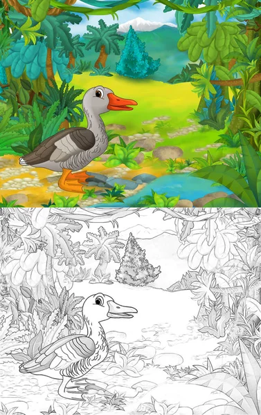 Escena Dibujo Animado Con Boceto Con Animal Pájaro Pato Ilustración —  Fotos de Stock