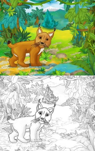 Scène Dessin Animé Avec Dessin Avec Lynx Chat Animal Illustration — Photo