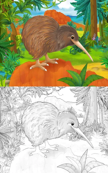Cartoon Scéna Náčrtem Kiwi Pták Kontinentální Mapou Ilustrace Pro Děti — Stock fotografie