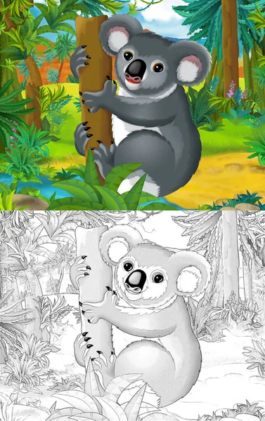 Cartoon Scéna Náčrtem Koala Medvěda Kontinentální Mapou Ilustrace Pro Děti — Stock fotografie