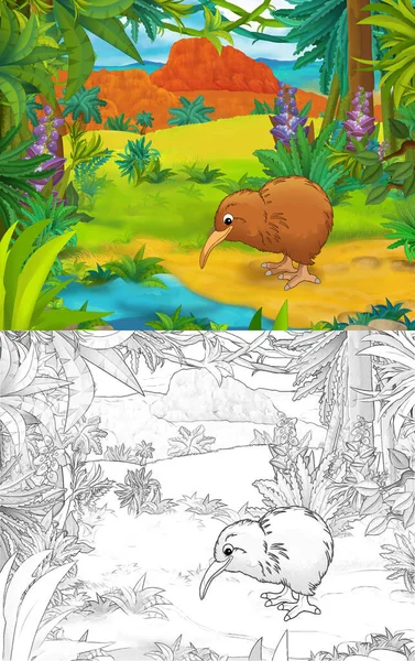 Cartoon scene with sketch kiwi bird with continent map - illustration for children