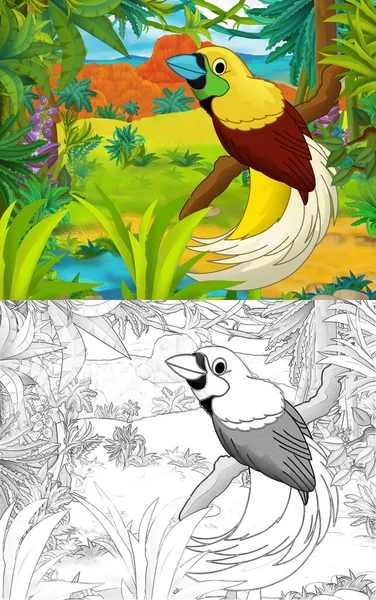 Cartoon Scene Met Schets Paradijs Vogel Met Continent Kaart Illustratie — Stockfoto