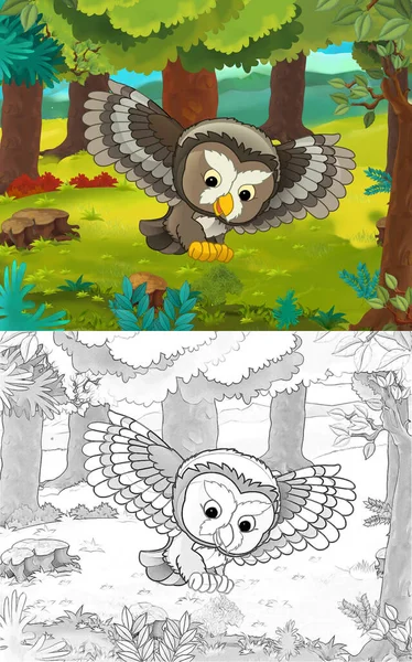 Escena Dibujos Animados Con Boceto Con Búho Pájaro Ilustración Para — Foto de Stock