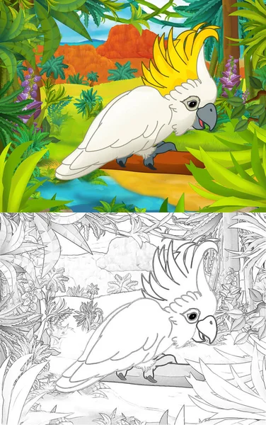 Cena Dos Desenhos Animados Com Esboço Pássaro Papagaio Com Mapa — Fotografia de Stock