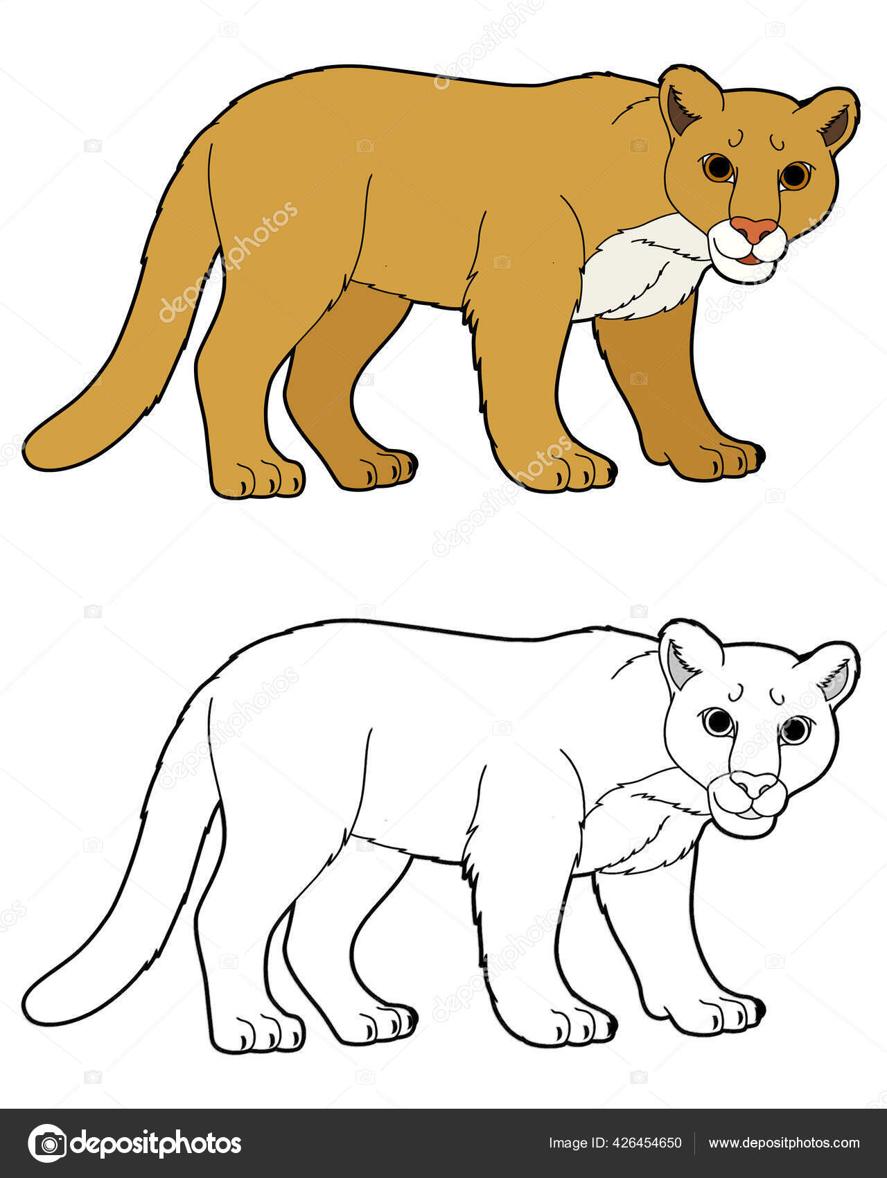 Cartoon Scene Sketch Happy Cougar Wild Cat White Background Illustration  Stock Photo by ©agaes8080 426454650
