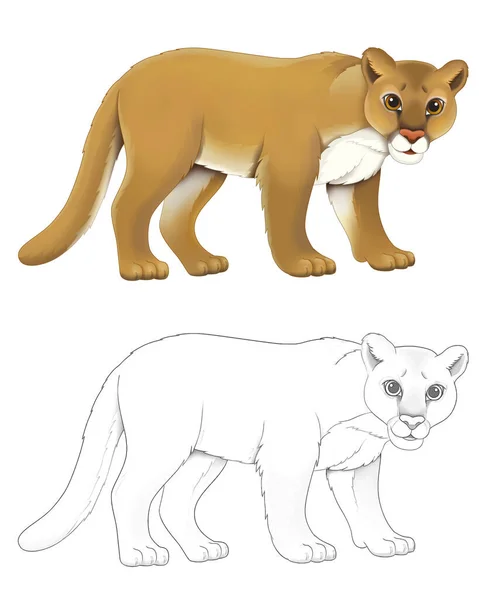 Cartoon Scene Sketch Happy Cougar Wild Cat White Background Illustration — Stock Photo, Image