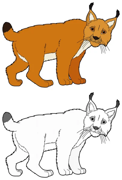 Beyaz Arka Planda Mutlu Vaşak Kedinin Çizildiği Karikatür Sahnesi Çocuklar — Stok fotoğraf