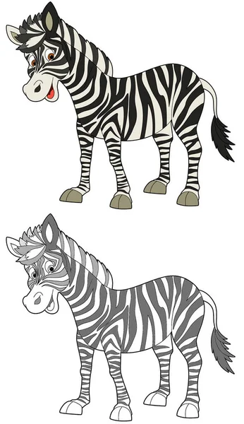 Cartoonszene Mit Skizze Mit Glücklichem Zebra Auf Weißem Hintergrund Illustration — Stockfoto