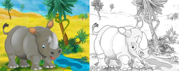 野生动物犀牛犀牛在自然界中的卡通场景 儿童图解 — 图库照片